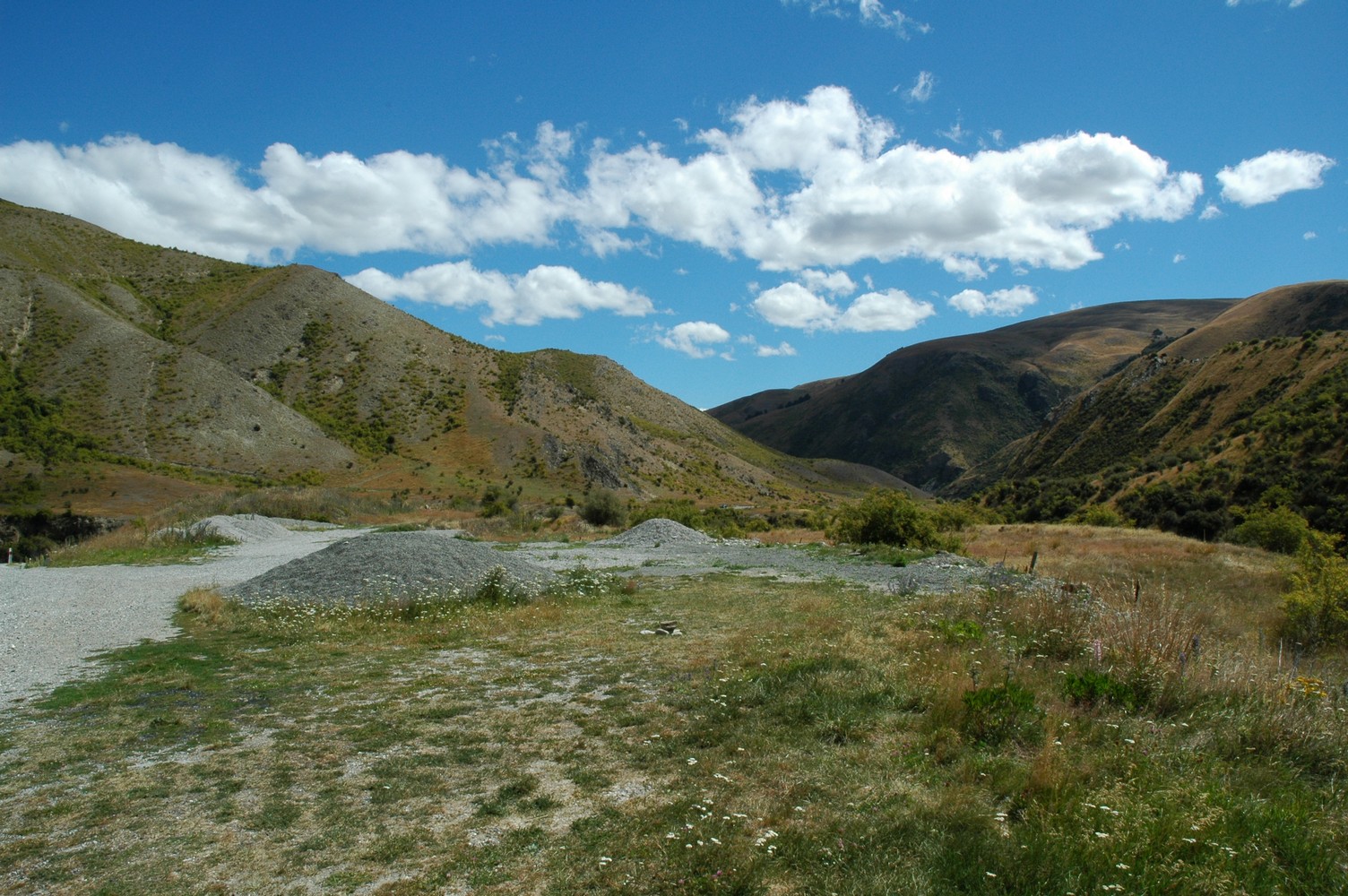 152   25 01   Fox Glacier   Oamura